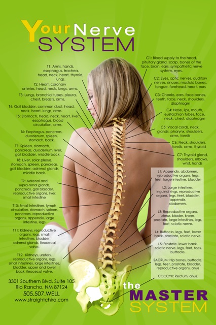 Nerve Chart - Synergy Spine and Nerve Center